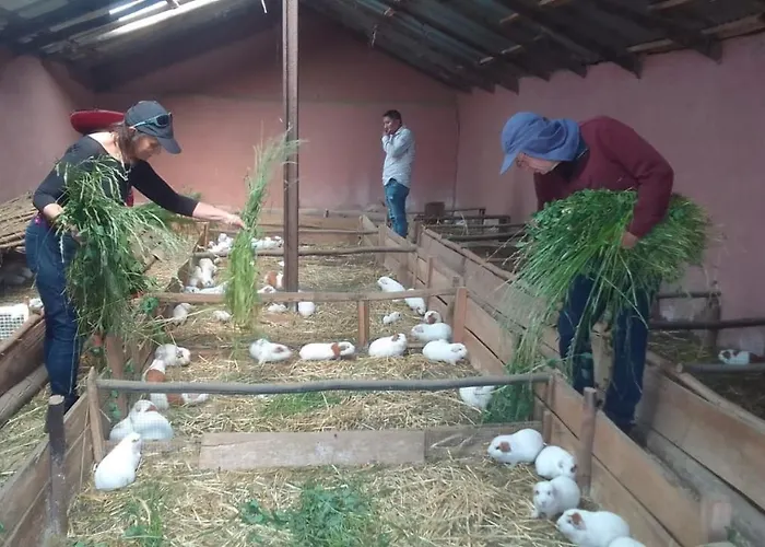 Casa De Gumercindo Campsite
